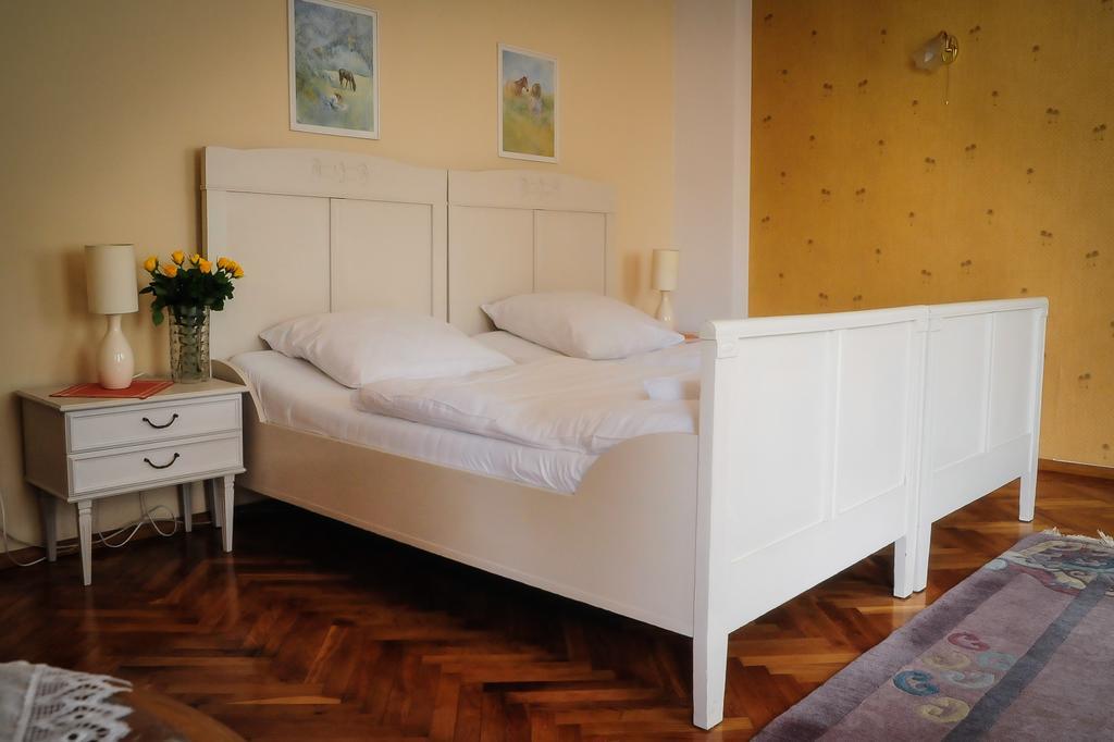 Willa Elysium Bed & Breakfast Lądek-Zdrój Cameră foto